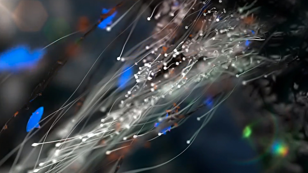 X-Particles-Getting-Started.jpg