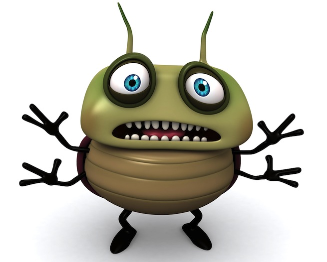 bug.jpg