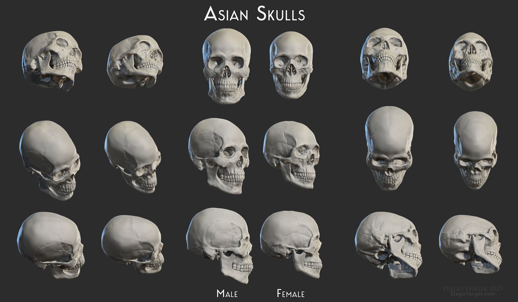 diego-verger-asian-skulls-male-female.jpg
