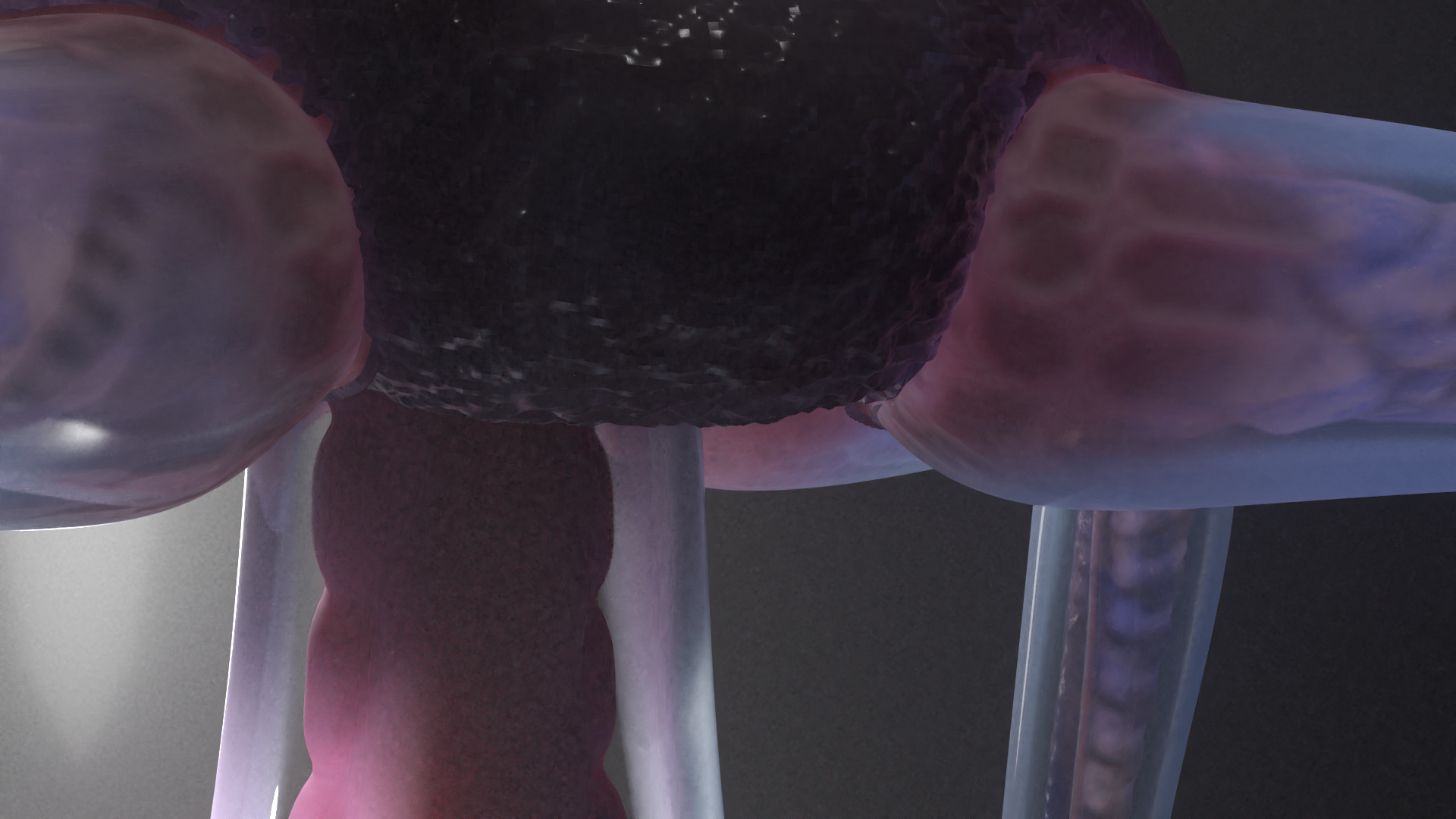 upleg_cut3_F4_0154.png