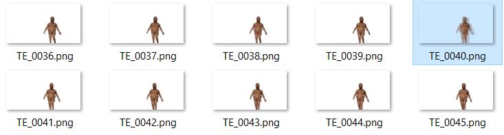 TE.JPG