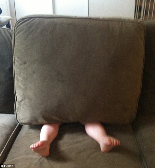 31C345E100000578-3472681-A_Reddit_user_posted_their_son_was_trying_to_hide_in_the_sofa_bu-m-78_1456917185952.jpg