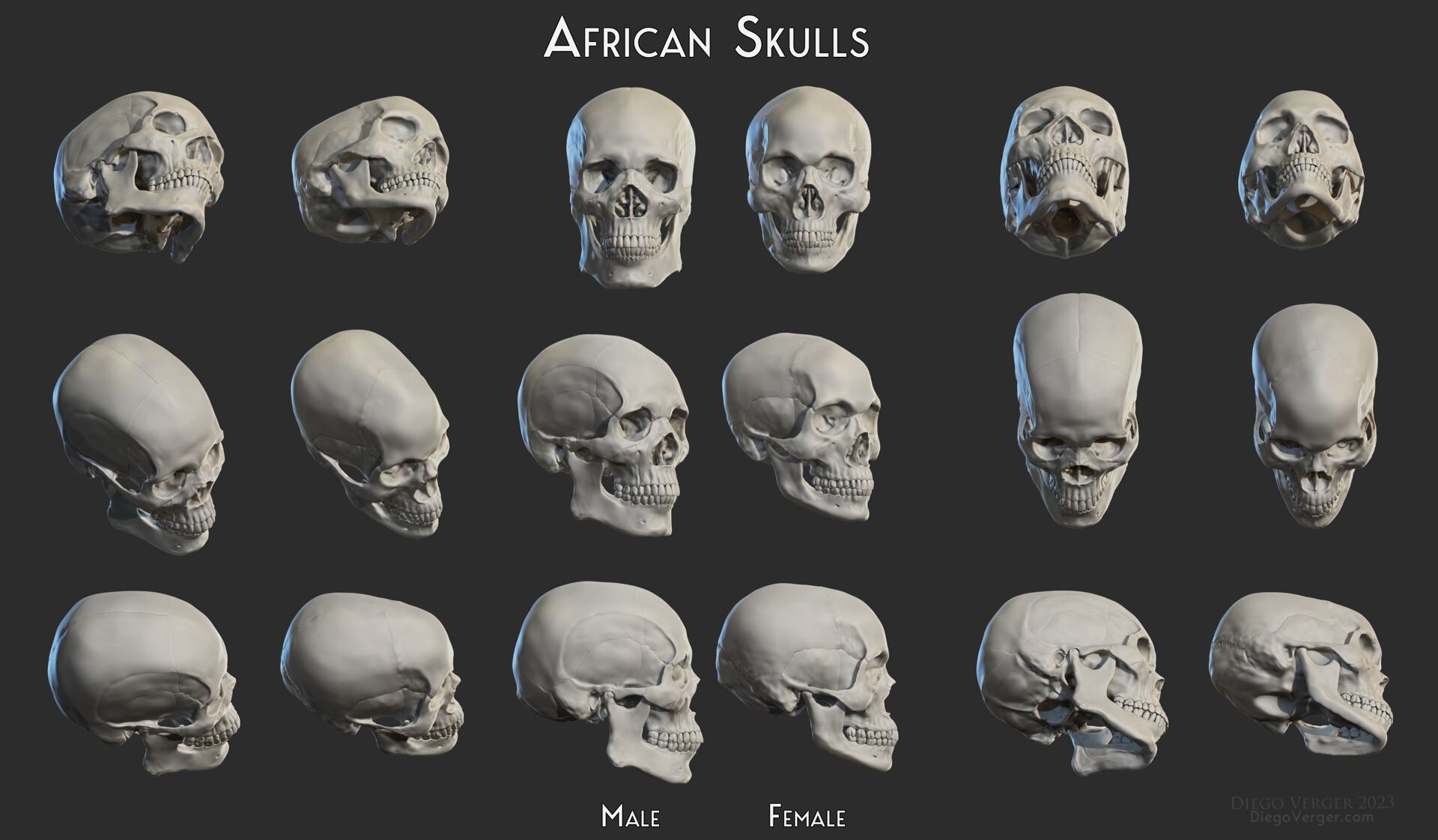 diego-verger-african-skulls-male-female.jpg