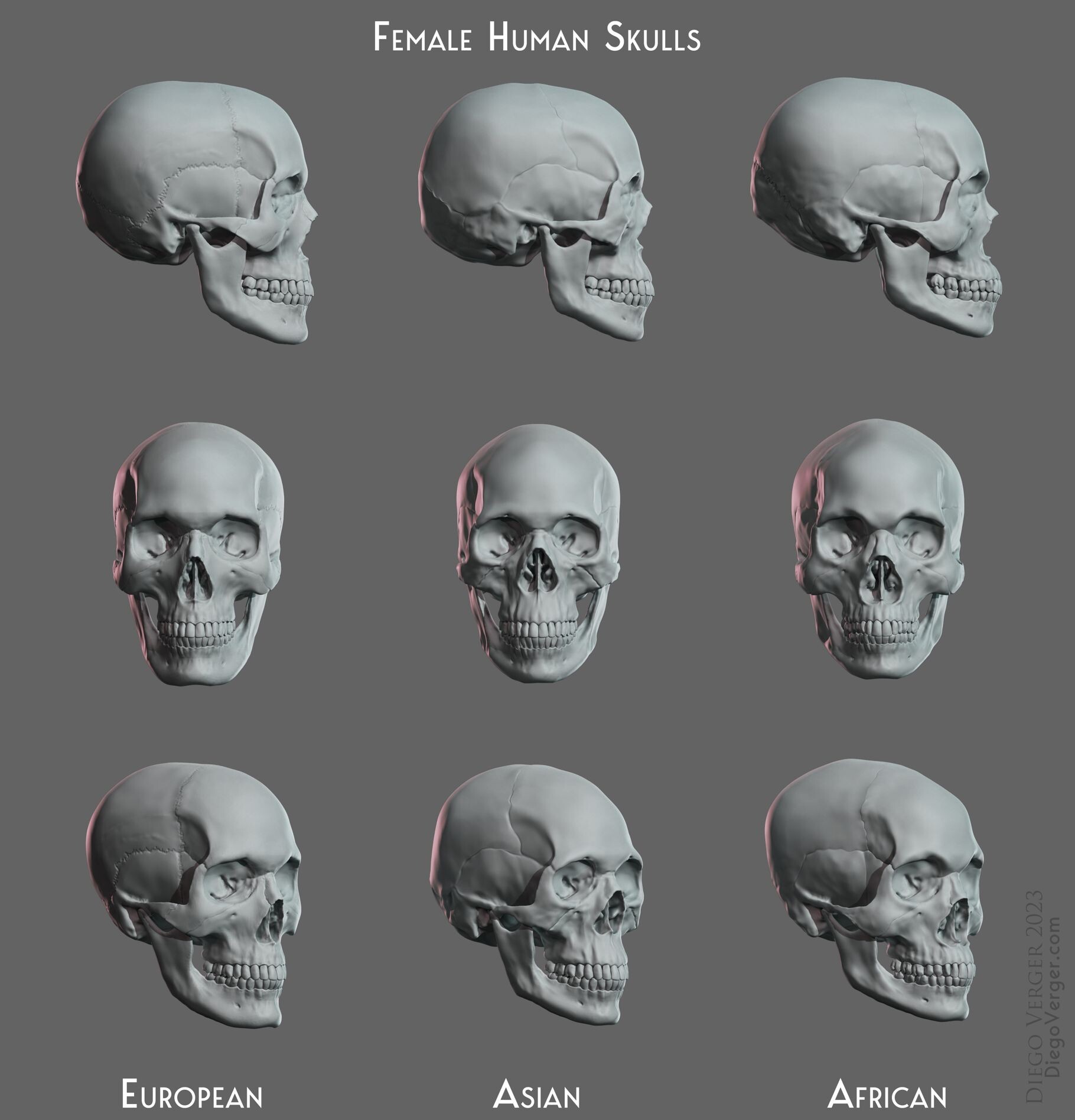 diego-verger-female-human-skulls.jpg