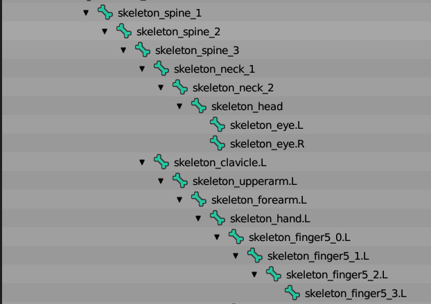 skeleton_image.png
