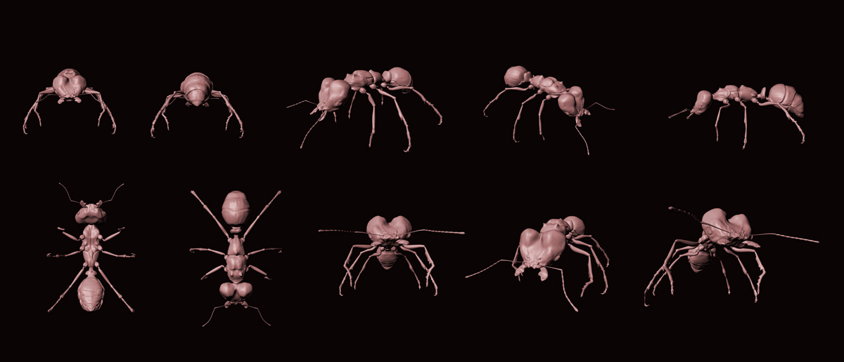 Ant.jpg