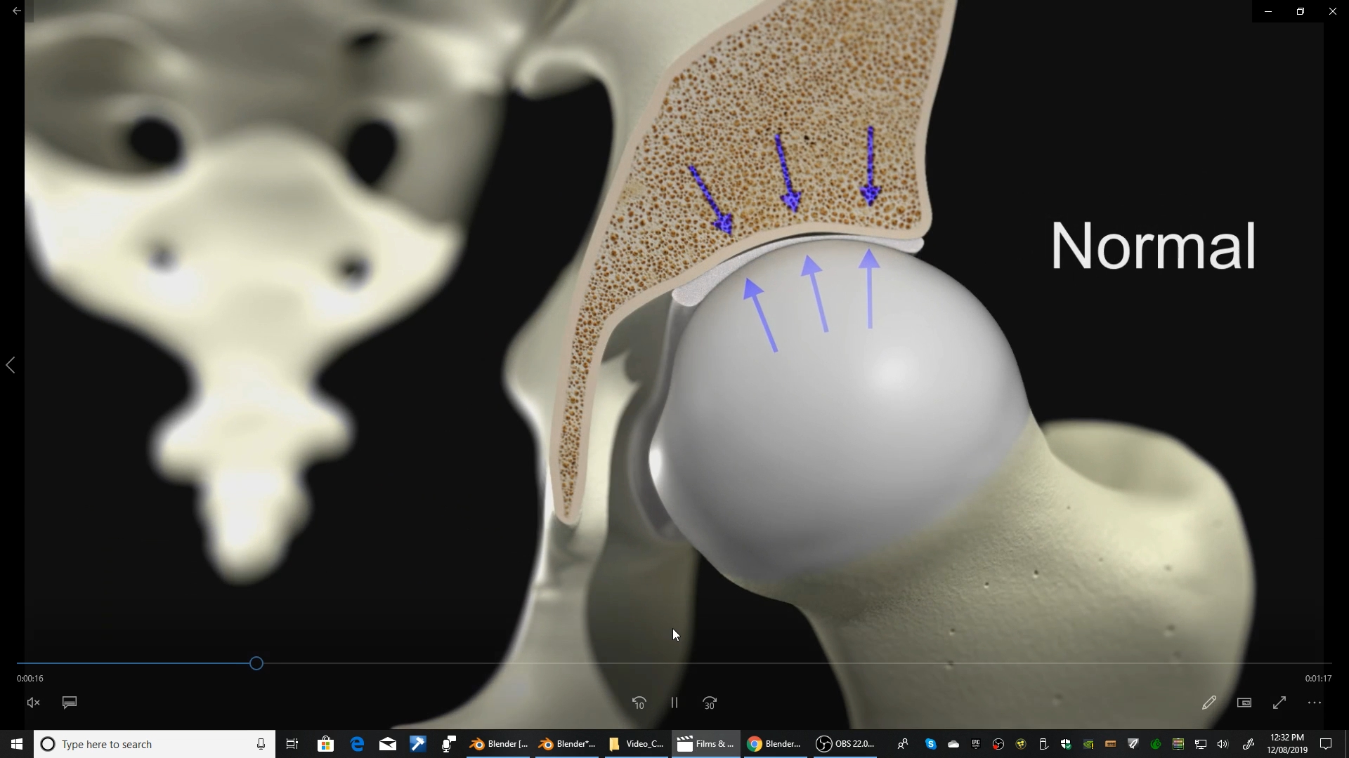 BlenderMeds_Bone_Cross_Section.jpg