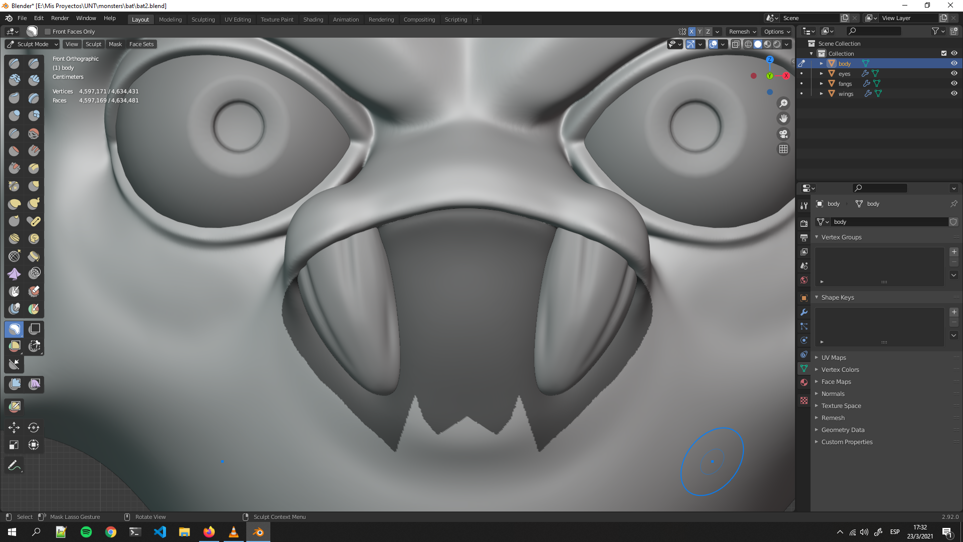 lasso_mask.png