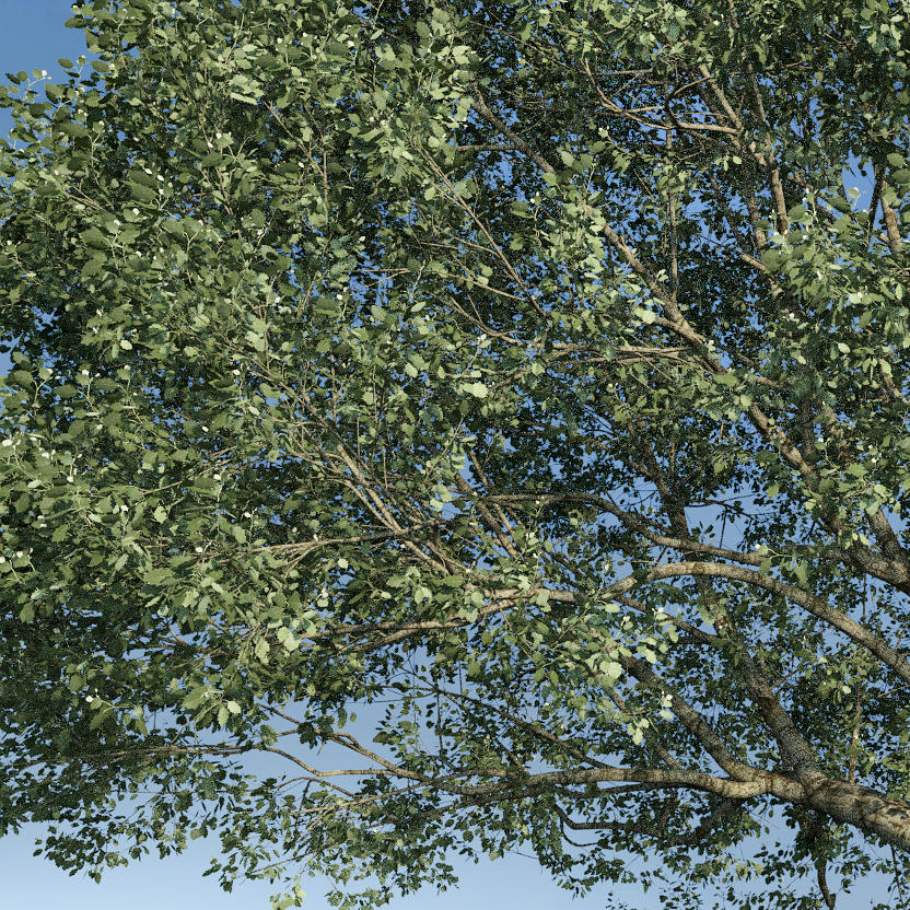 TheGroveRelease6Featured.jpg