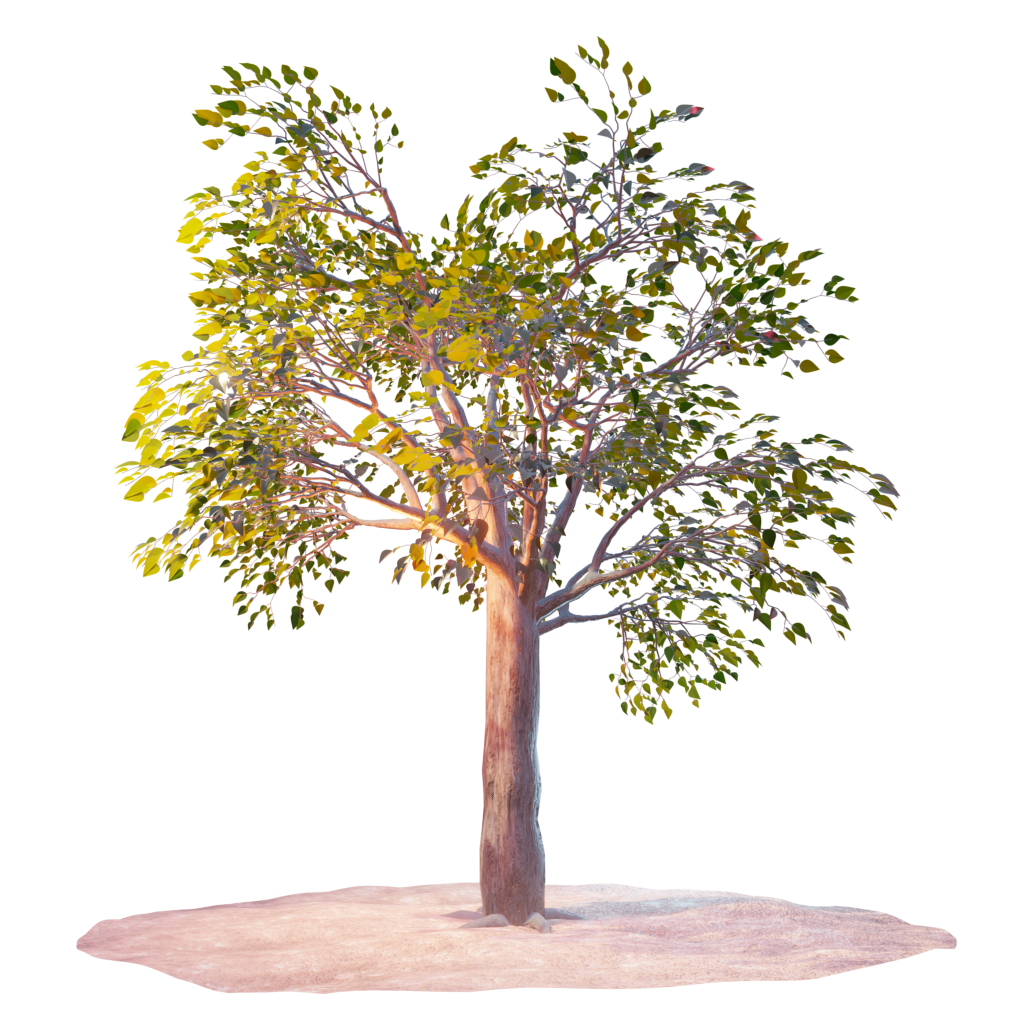 Rendering Albero nested particles.png