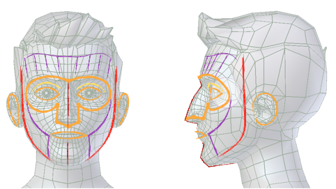addons_rigging_rigify_bone-positioning_face-landmarks.png