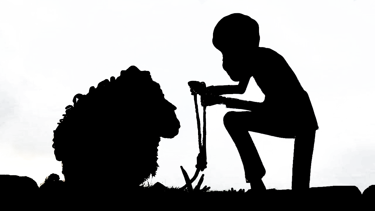 Silhouette proposal 2.png