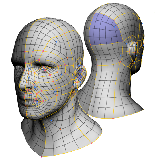 Sketch Retopo 2.png