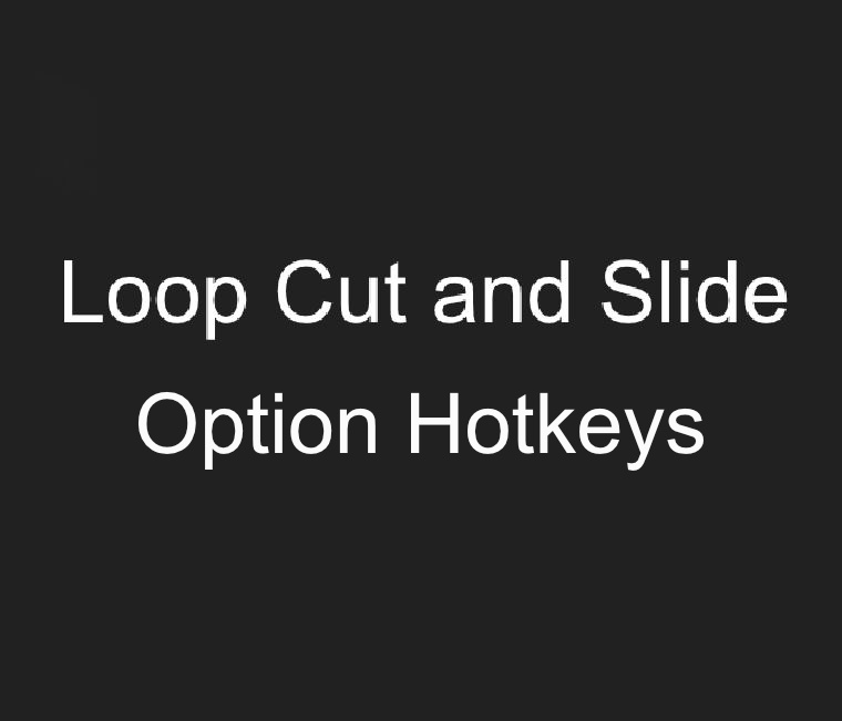LCS_options.jpg