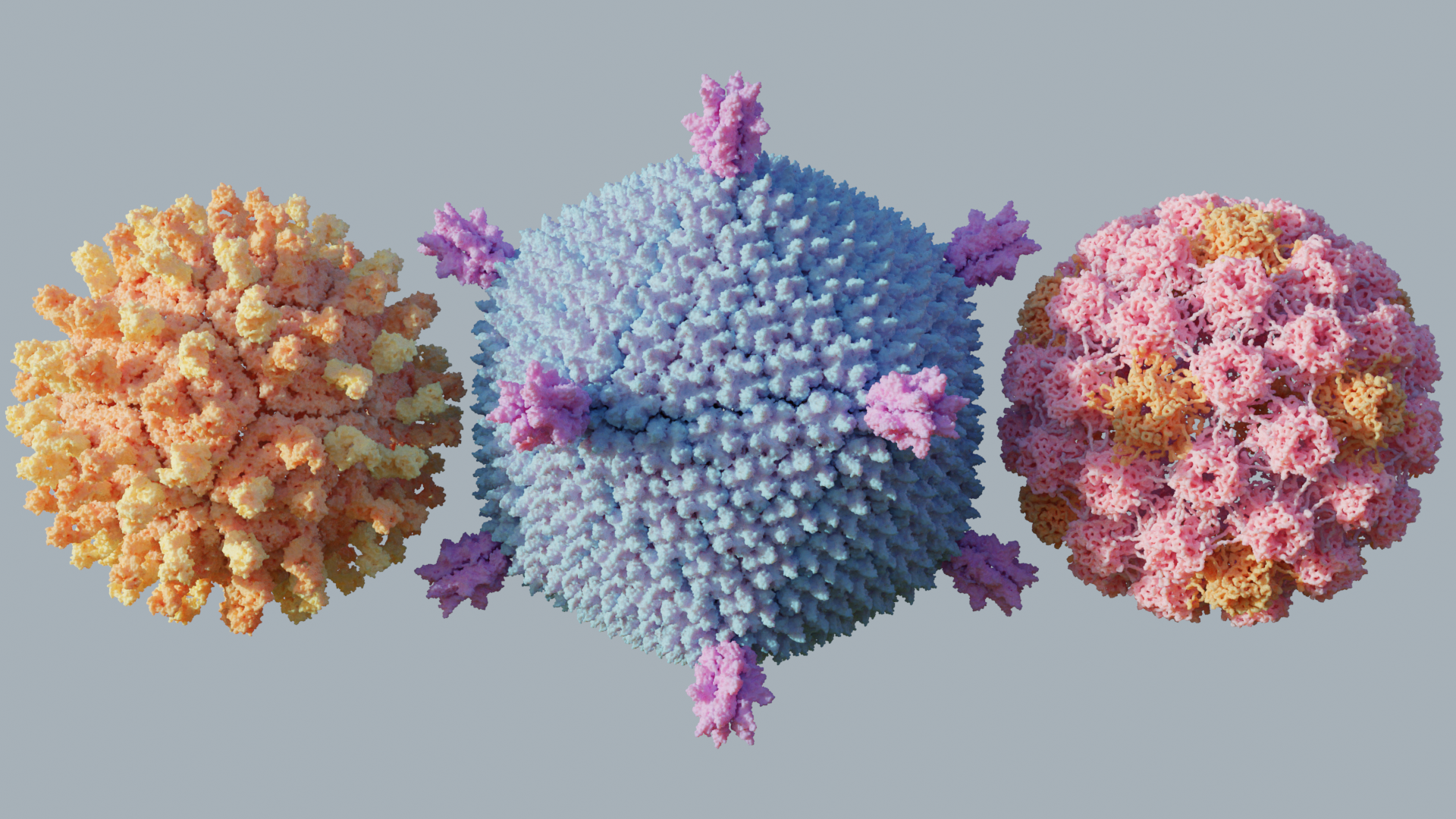 viruses.png