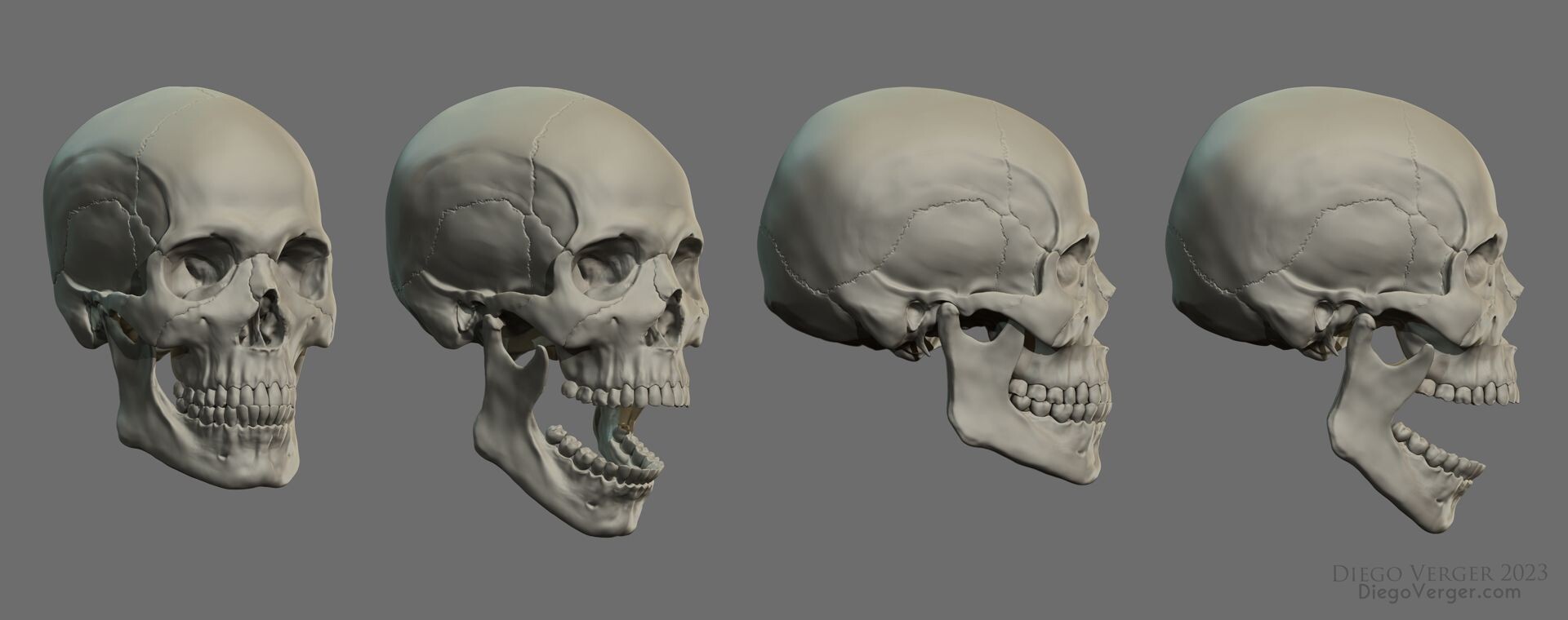 diego-verger-skull-jaw-movement.jpg