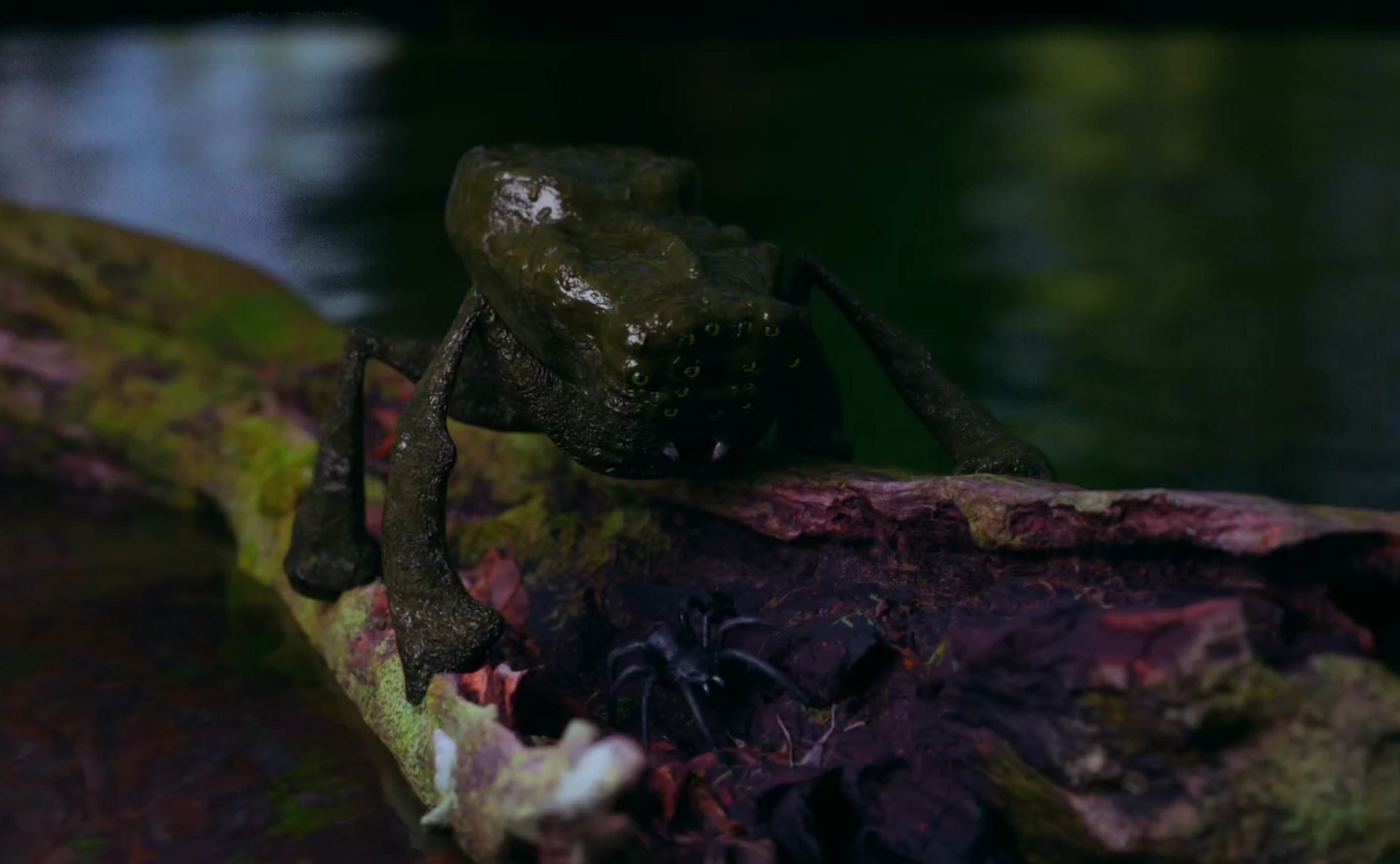 creature.jpg
