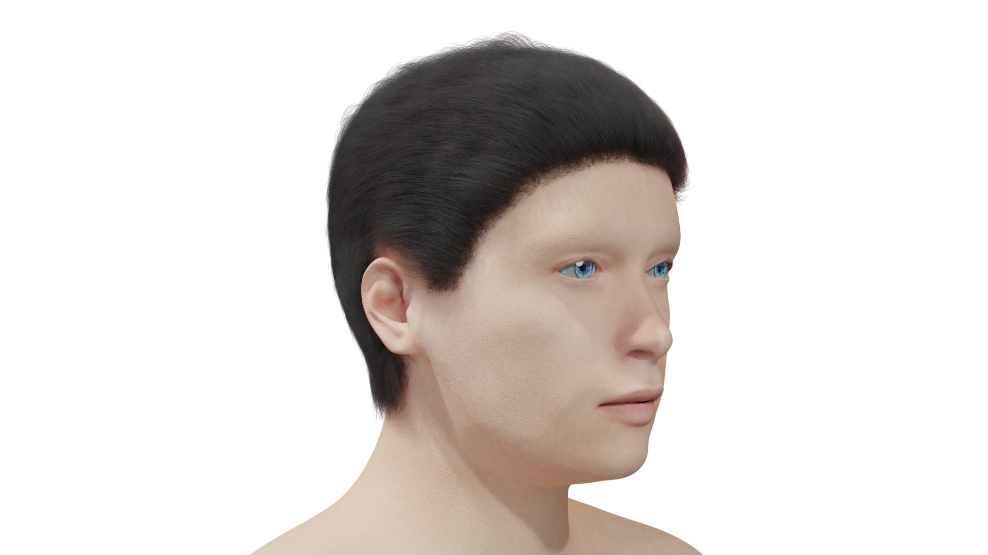 0262.png