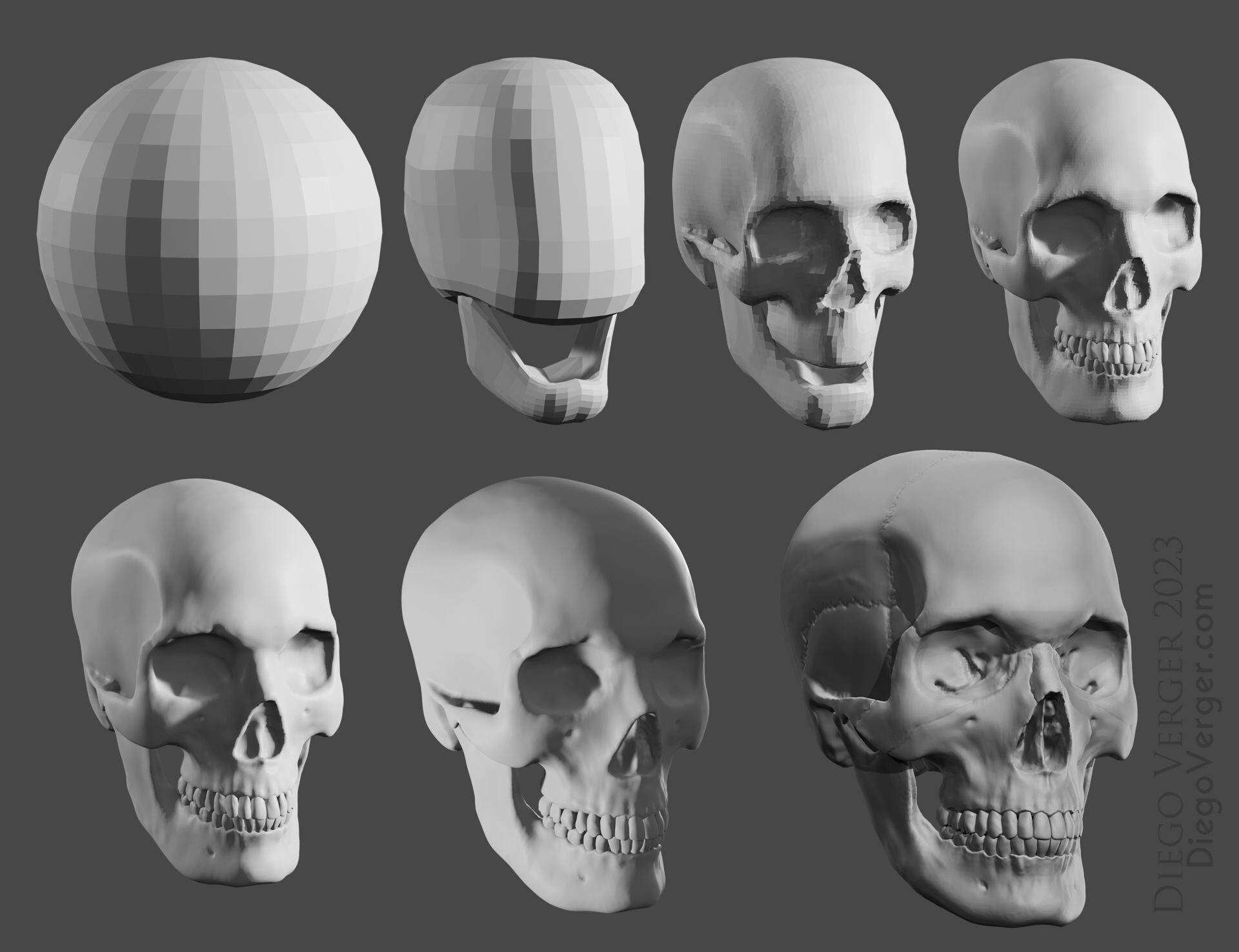 diego-verger-skull-sculpting-process-diego-verger.jpg