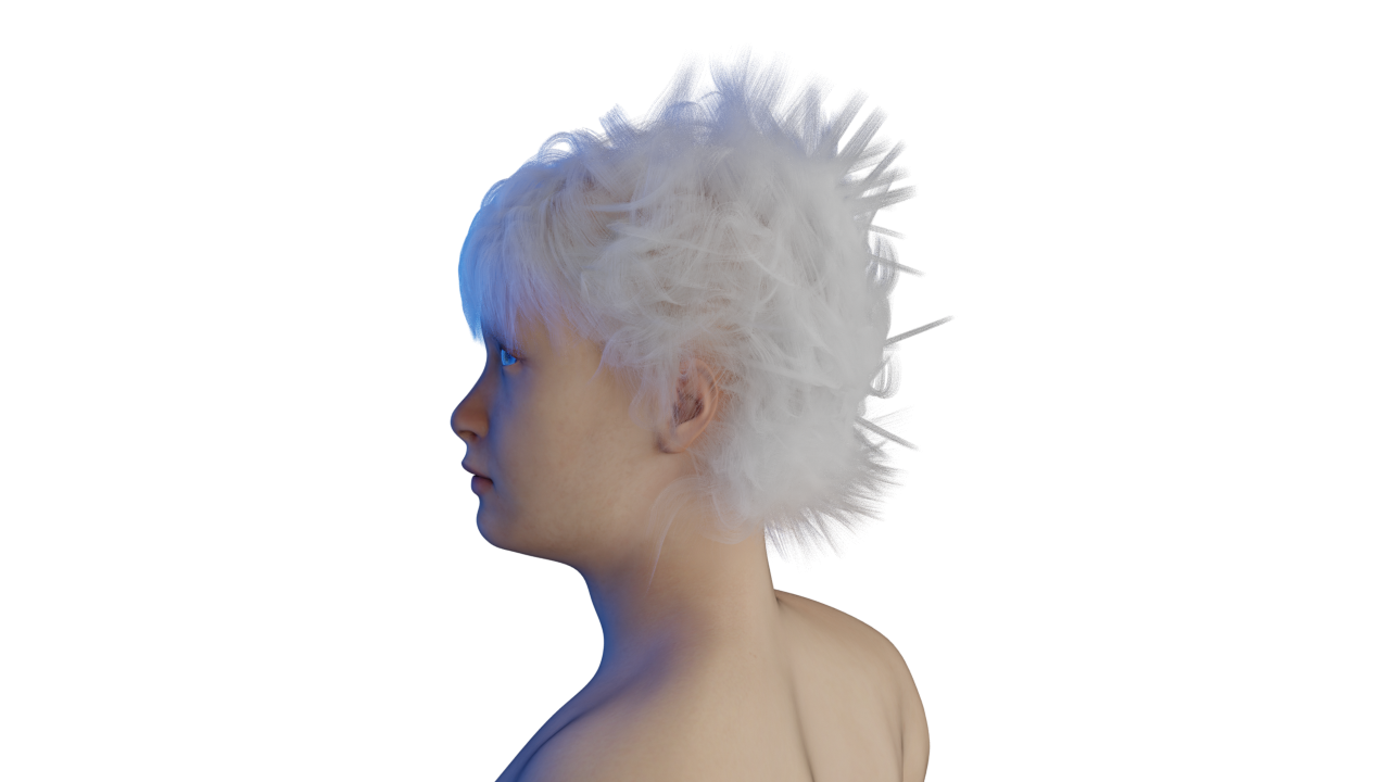0250.png