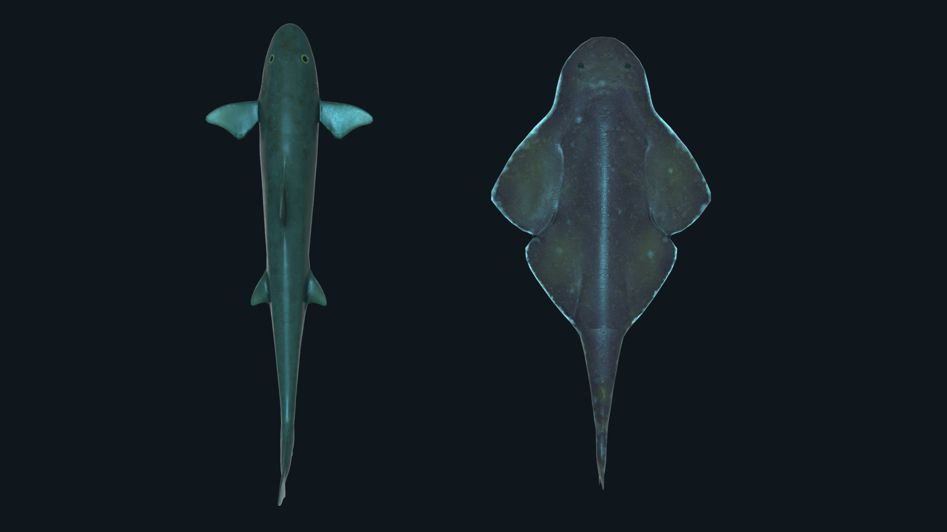 Render1.png