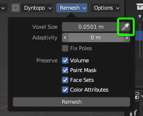 remesh_panel.png