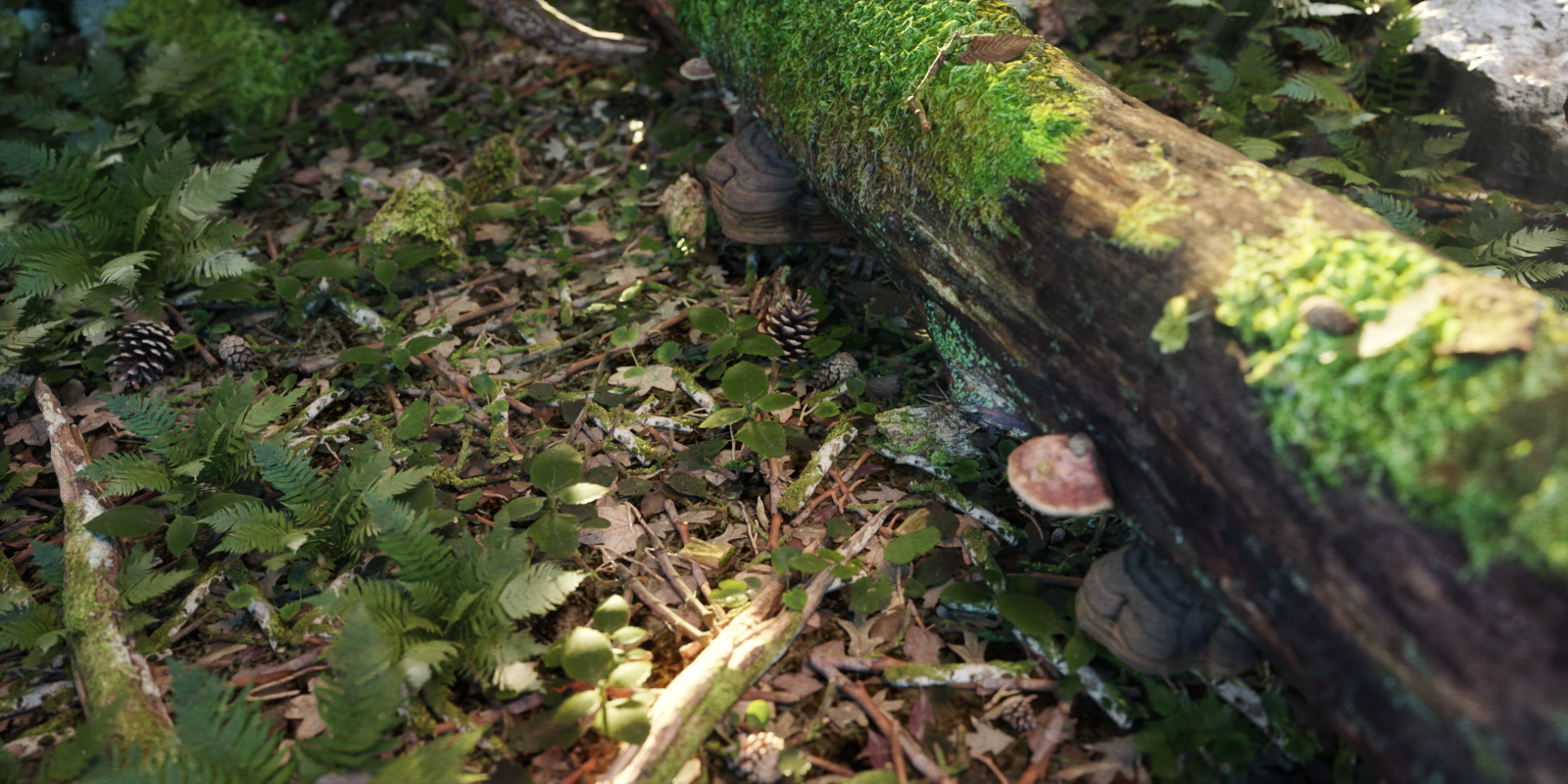 forestfloorpost.png