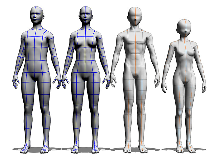 ClipStudioPaint_3d_basemeshes.jpeg