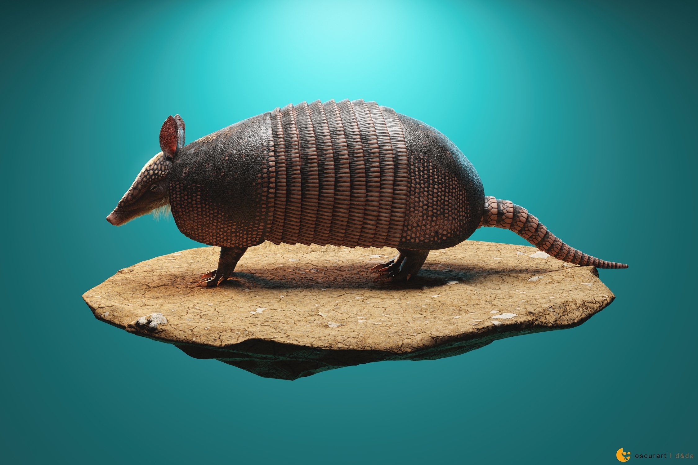 ARMADILLO_EXPORT_resized.jpg