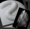 sct2.png